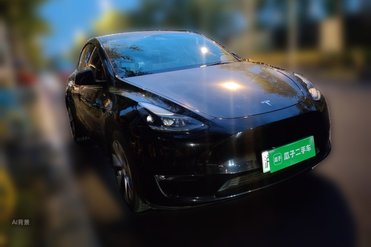Tesla Model Y 2021 car image #4