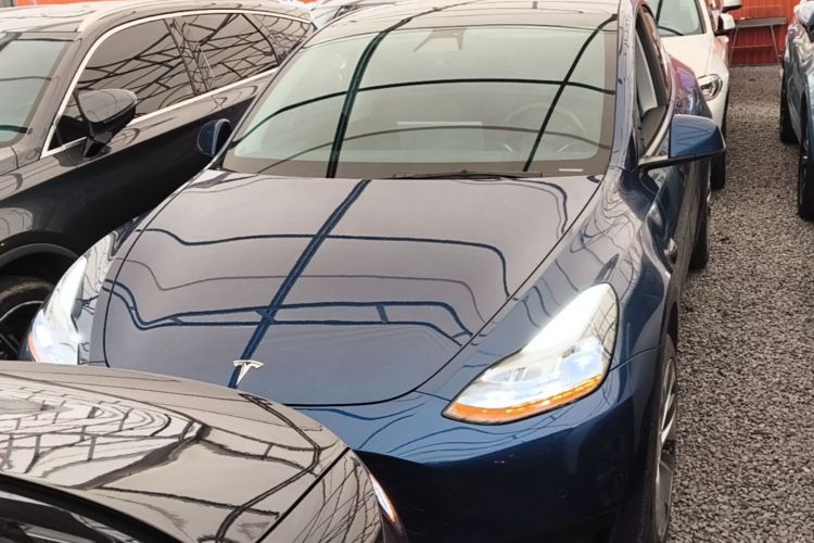 Tesla Model Y 2023 #3 Tesla Model Y 2023 car image #3