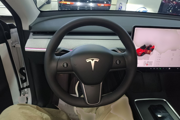 Tesla Model Y 2023 #11 Tesla Model Y 2023 car image #11