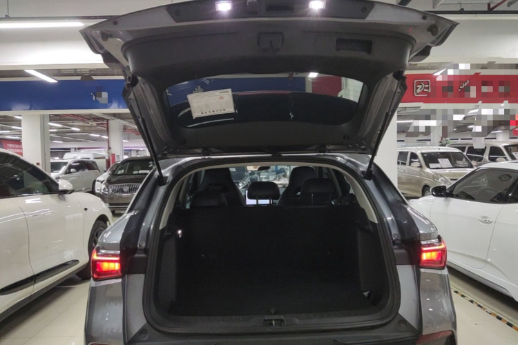 BYD Yuan Plus 2023 car image #22