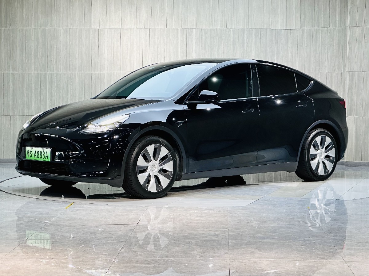 Tesla Model Y 2022 car image 