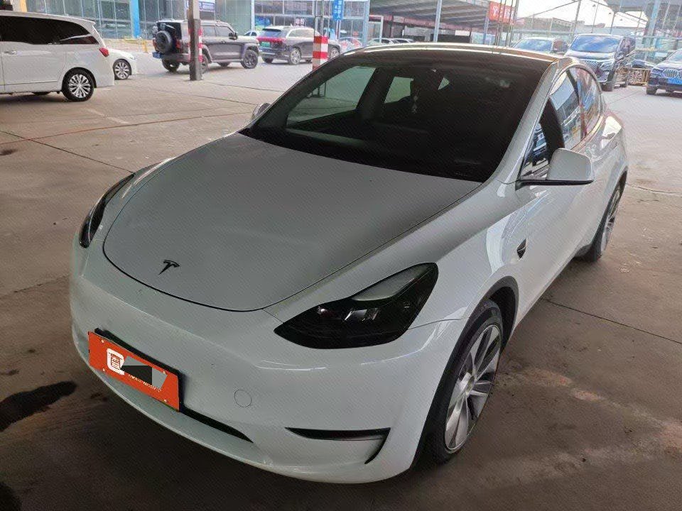 Tesla Model Y 2021 car image 