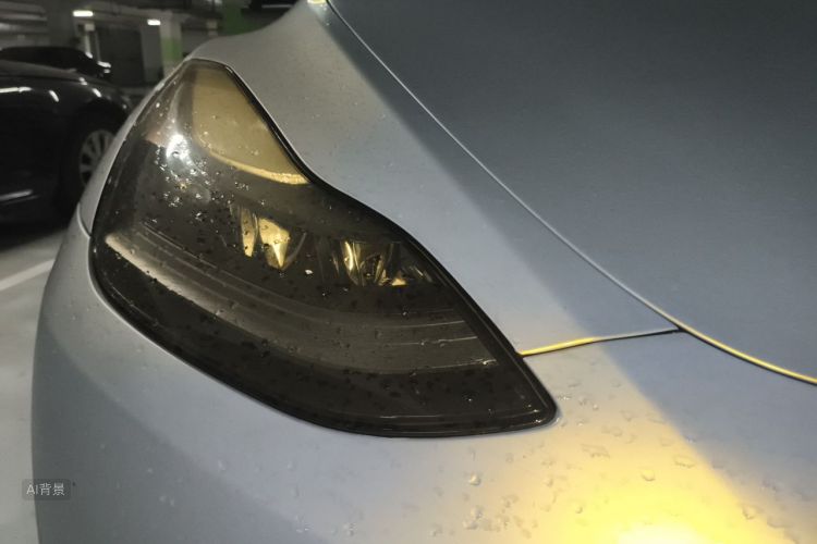Tesla Model Y 2023 #8 Tesla Model Y 2023 car image #8