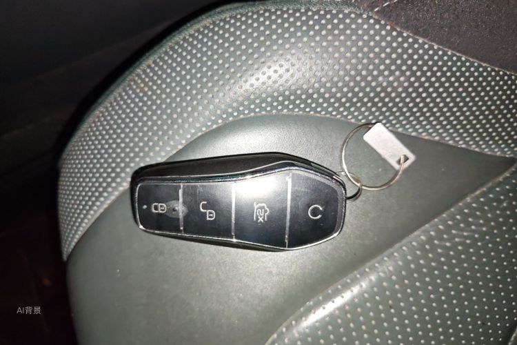 BYD Han 2022 car image #10