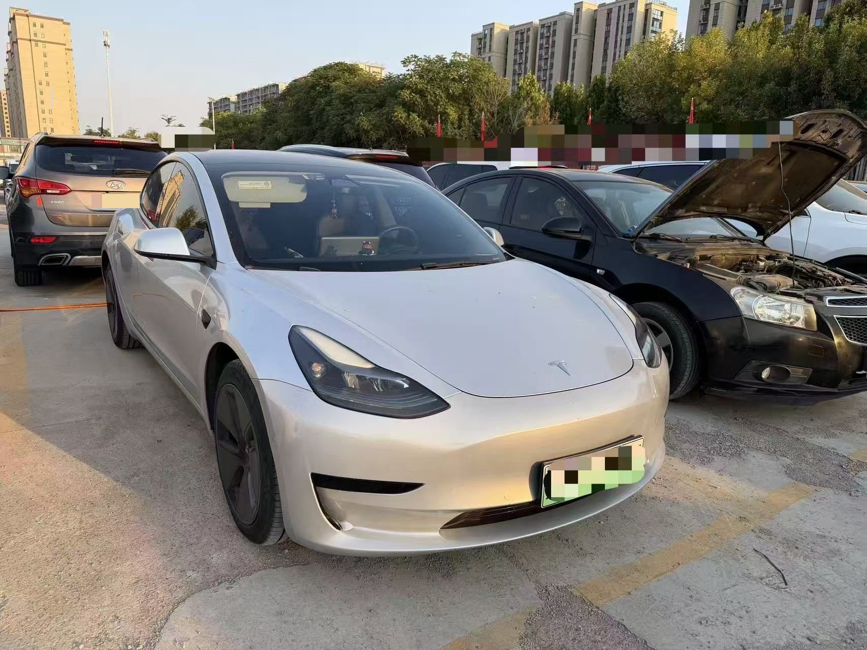 Tesla Model 3 2023 #3 Tesla Model 3 2023 car image #3