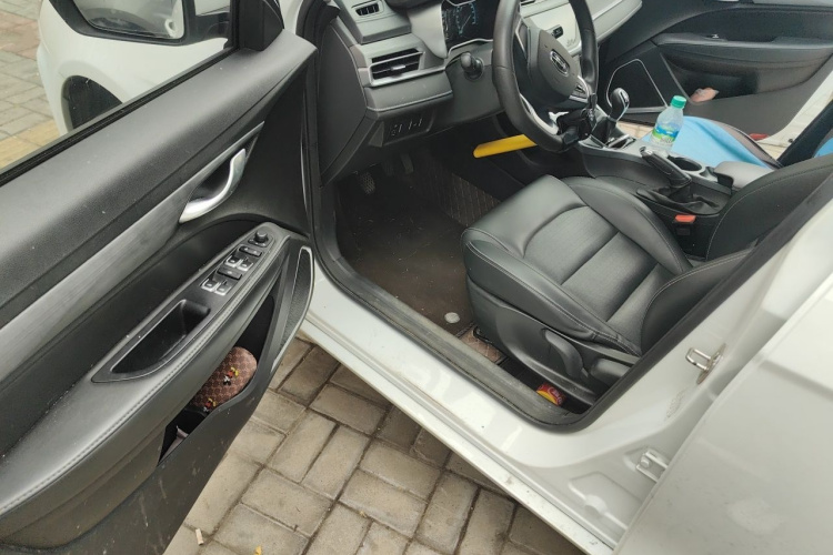 GEELY Emgrand 2021 immagine di auto #9