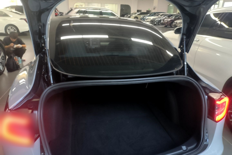 Tesla Model 3 2020 #19 Tesla Model 3 2020 car image #19