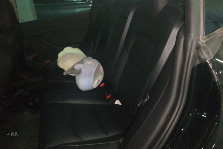 Tesla Model 3 2022 #19 Tesla Model 3 2022 car image #19