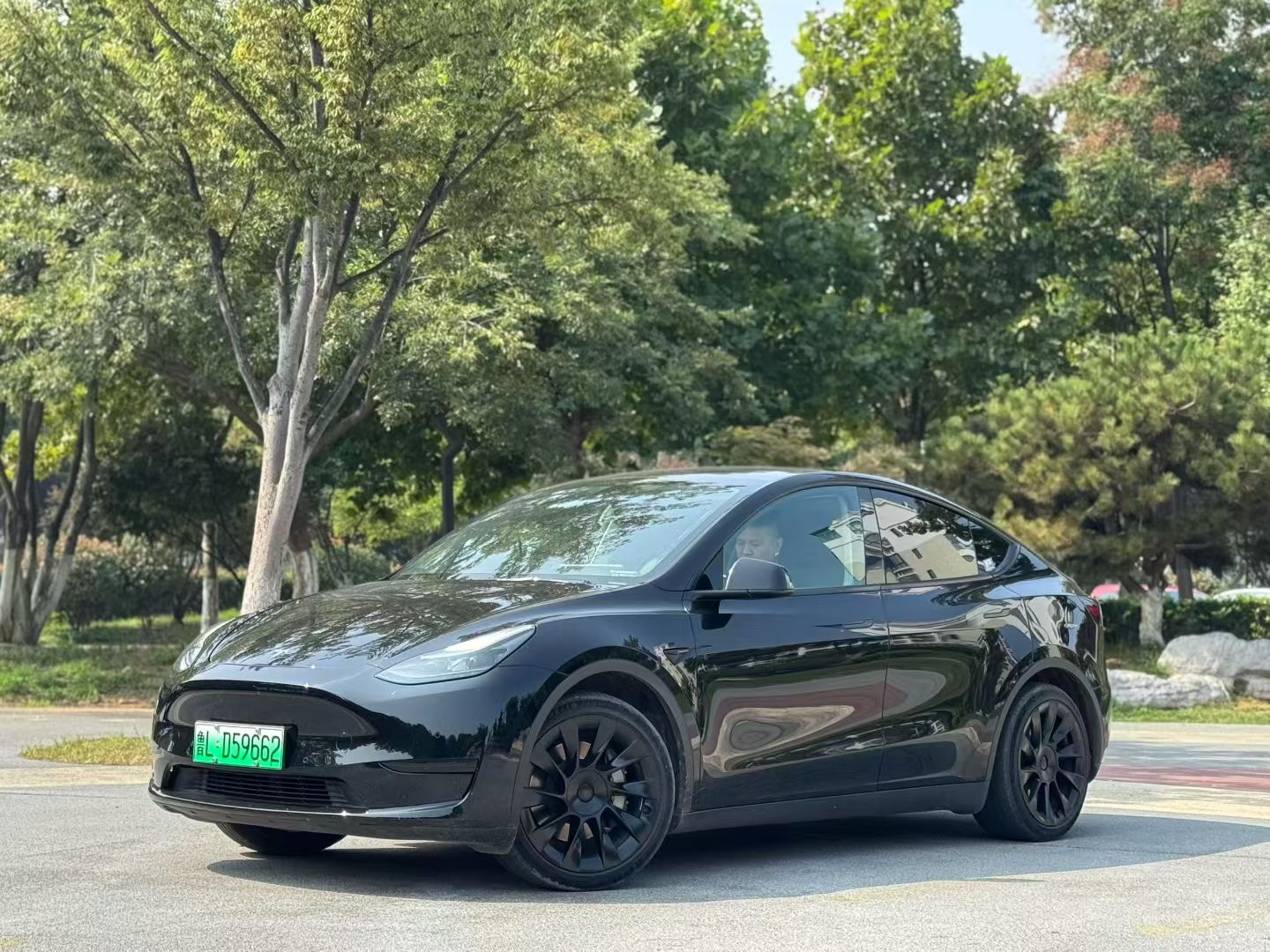 Tesla Model Y 2021 Tesla Model Y 2021 car image