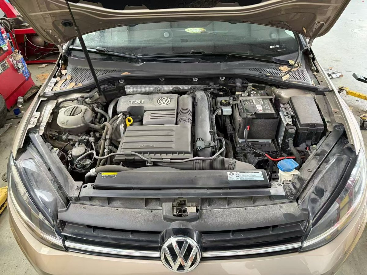 Volkswagen Golf 2019 #6 Volkswagen Golf 2019 immagine di auto #6