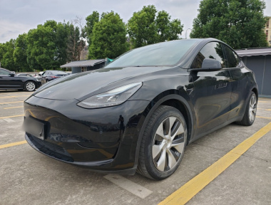 Tesla Model Y 2022 Tesla Model Y 2022 car image