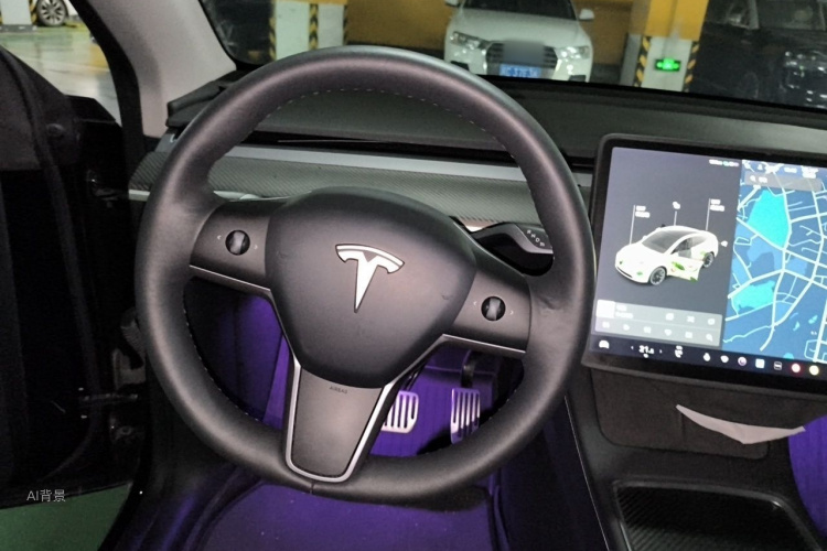 Tesla Model Y 2021 car image #12