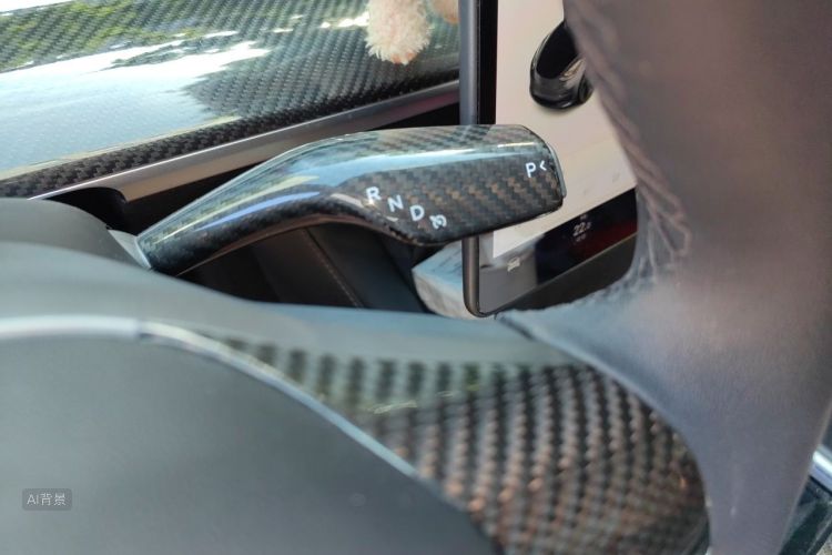 Tesla Model 3 2021 car image #16