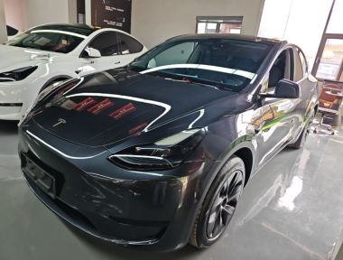 Tesla Model Y 2024 car image 