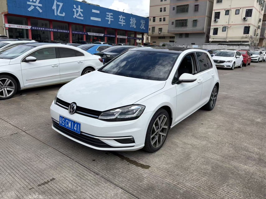Volkswagen Golf 2019 Volkswagen Golf 2019 car image