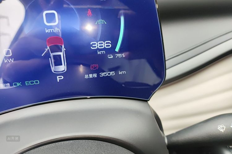 BYD Yuan Plus 2024 car image #14
