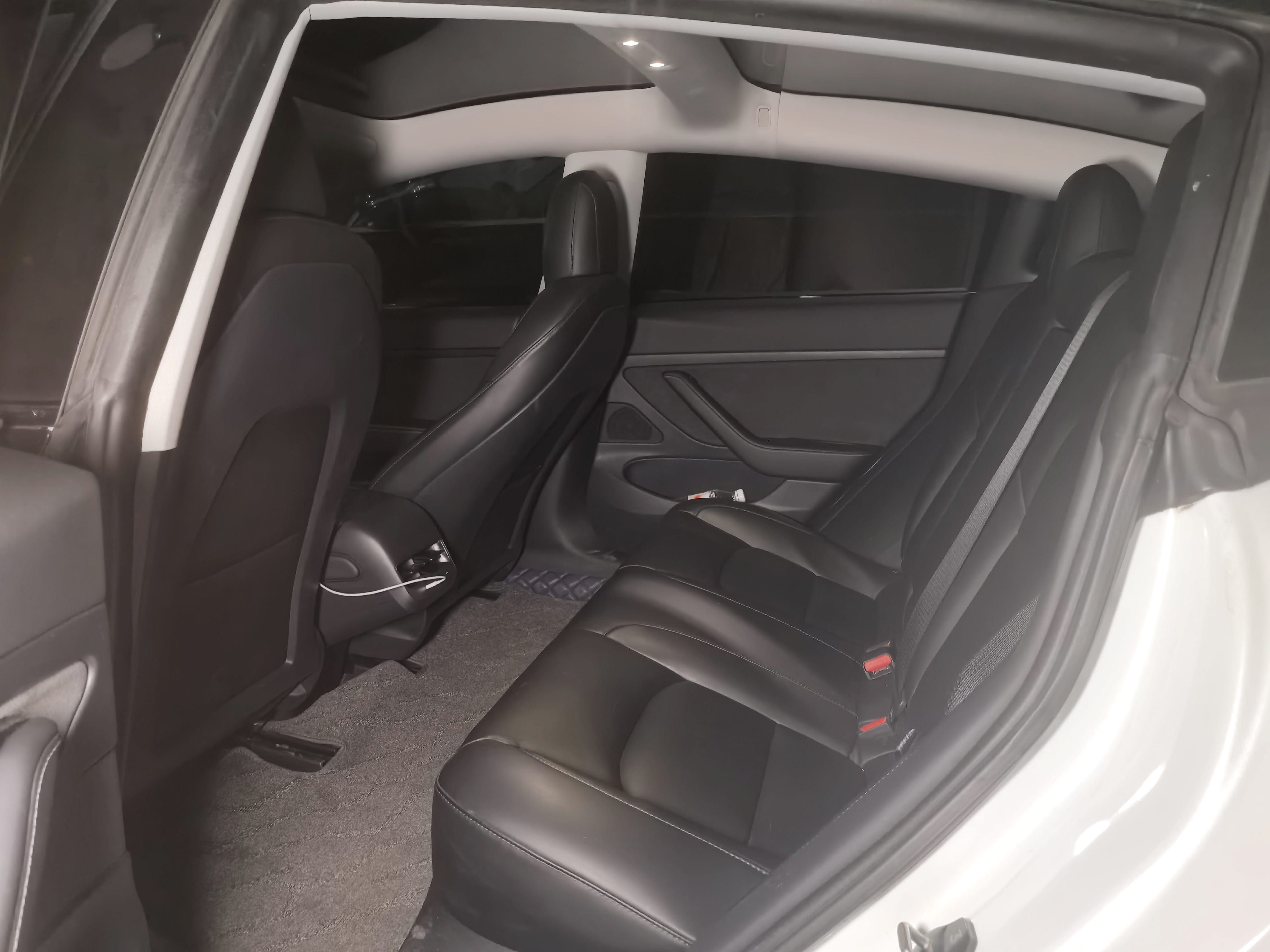 Tesla Model 3 2020 immagine di auto #2