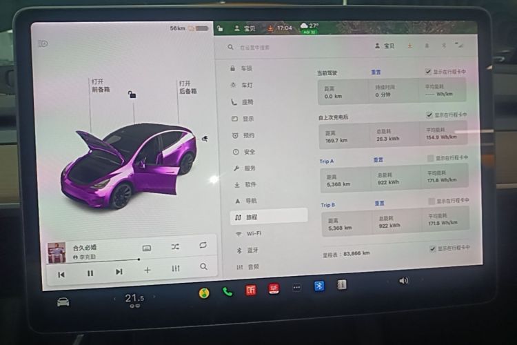 Tesla Model Y 2021 car image #12