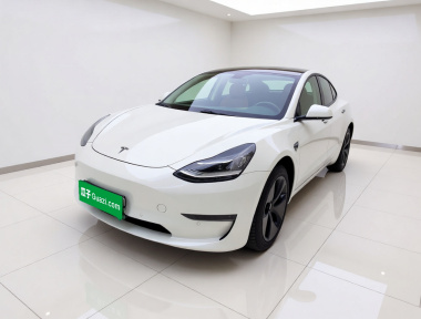 Tesla Model 3 2020 Tesla Model 3 2020 car image
