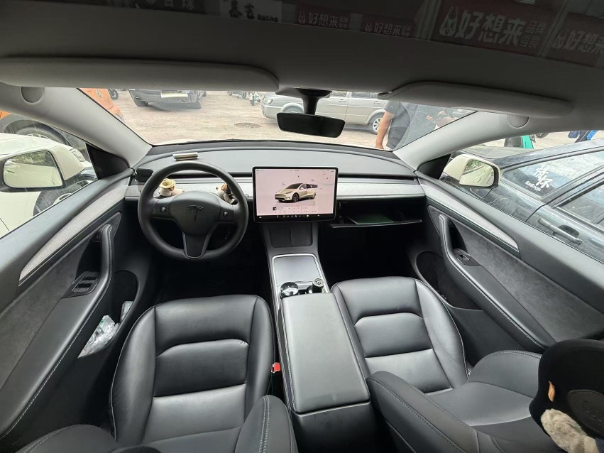 Tesla Model Y 2023 car image #6
