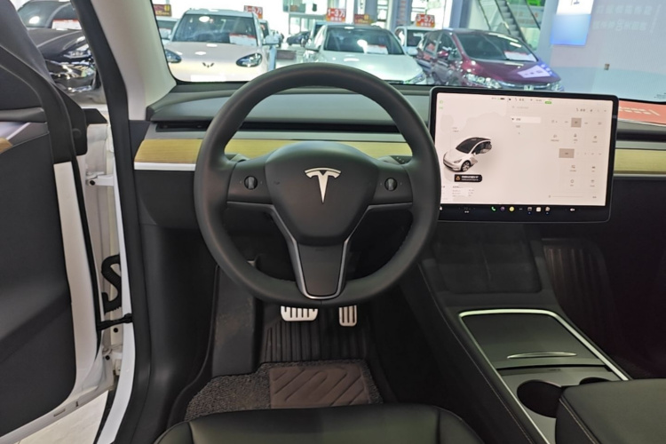 Tesla Model Y 2023 car image #15