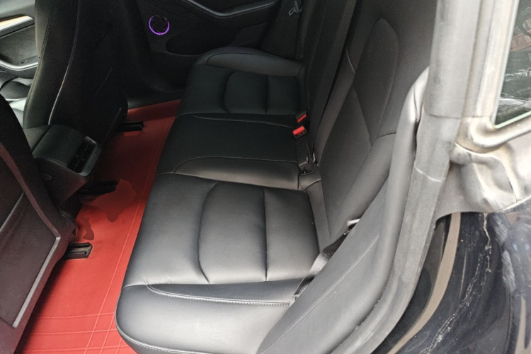 Tesla Model 3 2022 car image #17