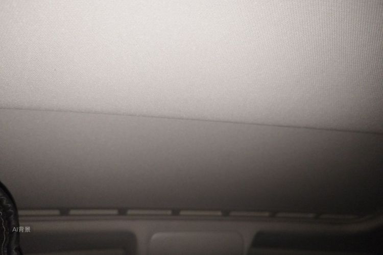 Volkswagen Polo 2016 car image #20