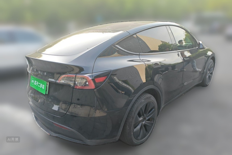 Tesla Model Y 2023 car image #7