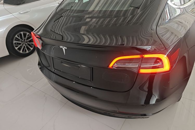 Tesla Model 3 2020 car image #6