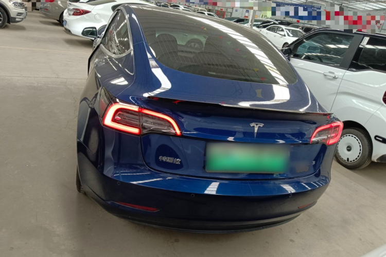 Tesla Model 3 2020 immagine di auto #6