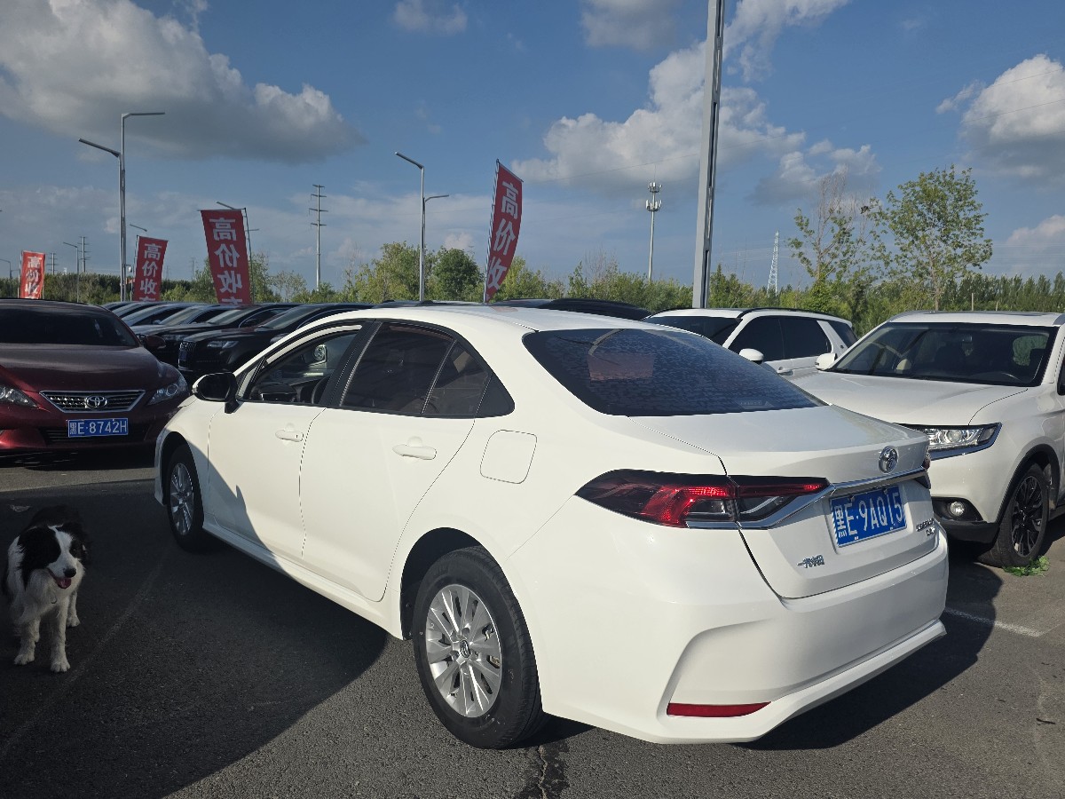 Toyota Corolla 2019 #7 Toyota Corolla 2019 car image #7
