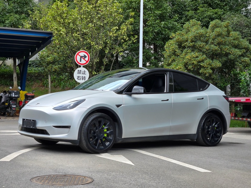 Tesla Model Y 2021 Tesla Model Y 2021 car image
