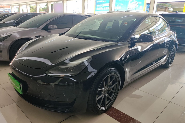 Tesla Model 3 2021 #2 Tesla Model 3 2021 car image #2