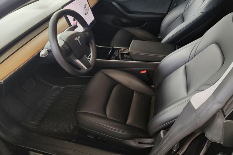Tesla Model 3 2020 car image #19