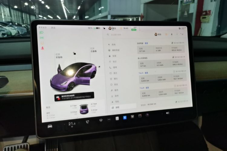 Tesla Model 3 2021 immagine di auto #13