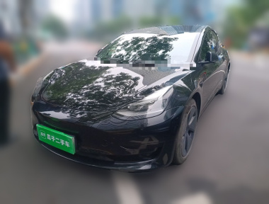 Tesla Model 3 2021 Tesla Model 3 2021 car image