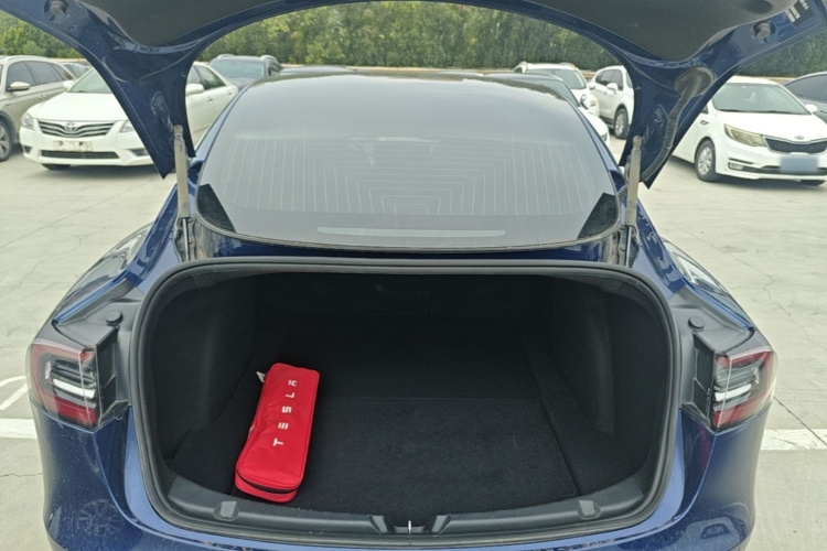 Tesla Model 3 2020 car image #19