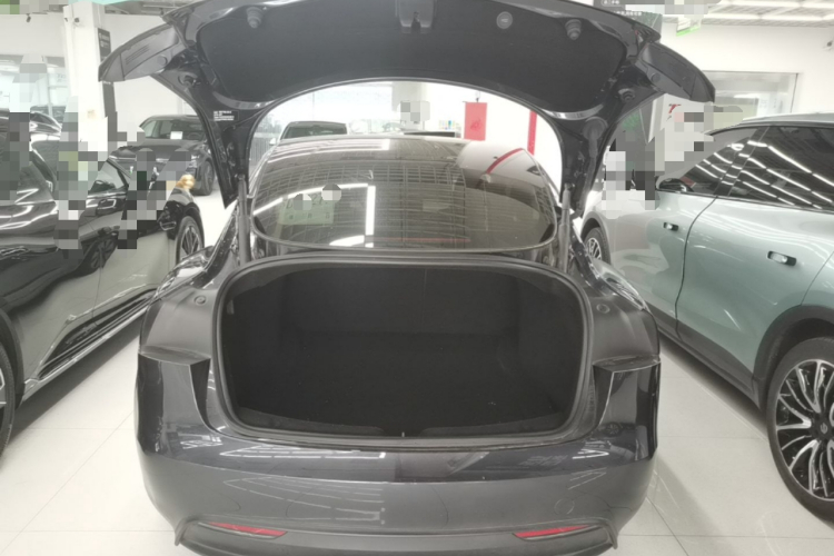 Tesla Model 3 2025 car image #19