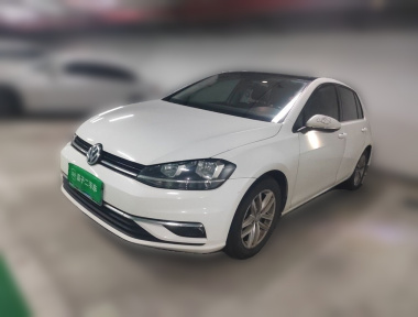 Volkswagen Golf 2019 Volkswagen Golf 2019 car image