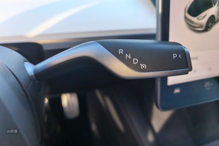 Tesla Model 3 2021 car image #16