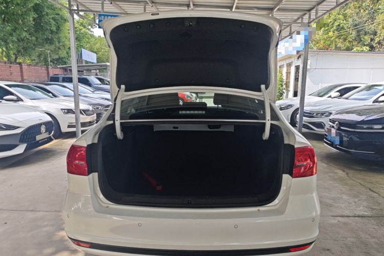 Volkswagen Bora 2021 car image #19