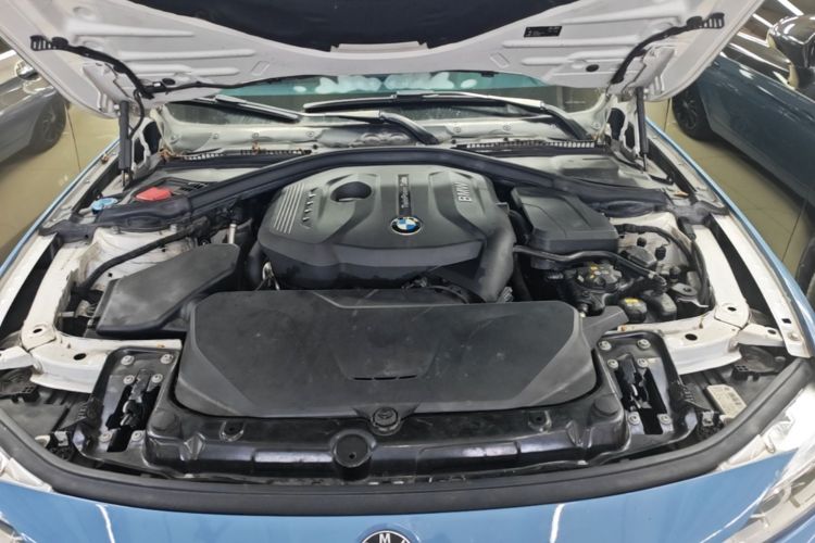 BMW 3 Series 2017 #20 BMW 3 Series 2017 car image #20