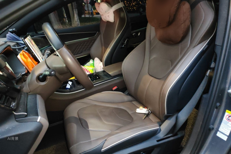 BYD Han 2022 car image #17