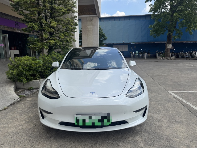 Tesla Model 3 2020 #2 Tesla Model 3 2020 car image #2