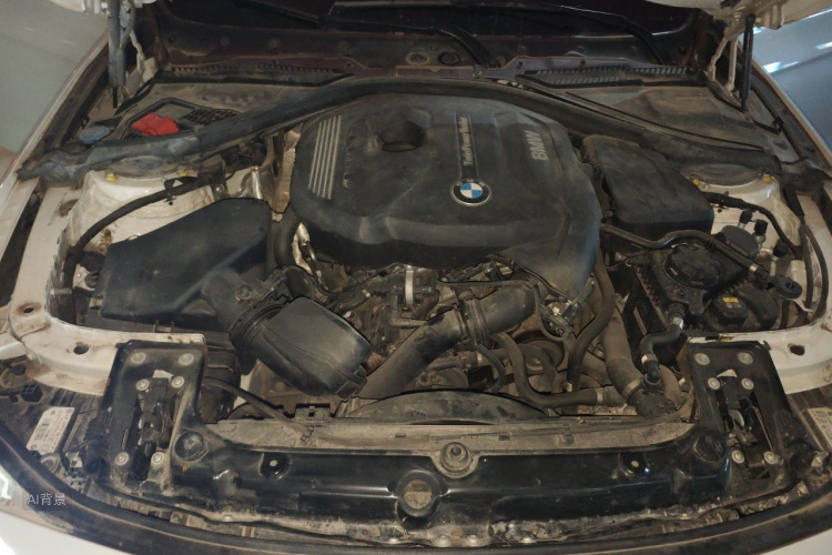 BMW 3 Series 2017 car image #22