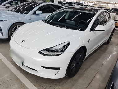 Tesla Model 3 2020 Tesla Model 3 2020 car image