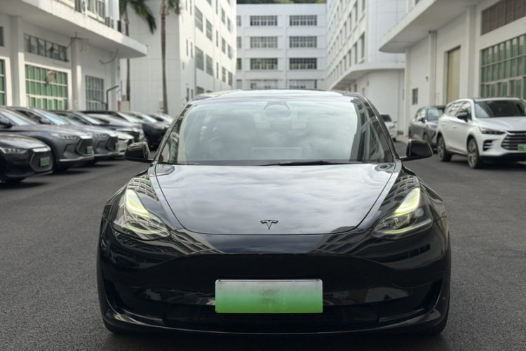 Tesla Model 3 2022 immagine di auto #3