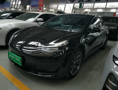 Tesla Model 3 2023 Tesla Model 3 2023 car image