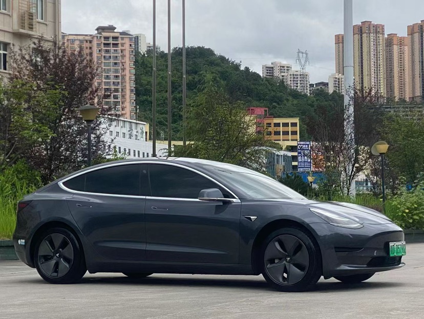 Tesla Model 3 2020 car image #9