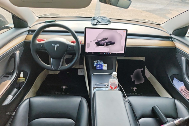Tesla Model 3 2022 immagine di auto #11